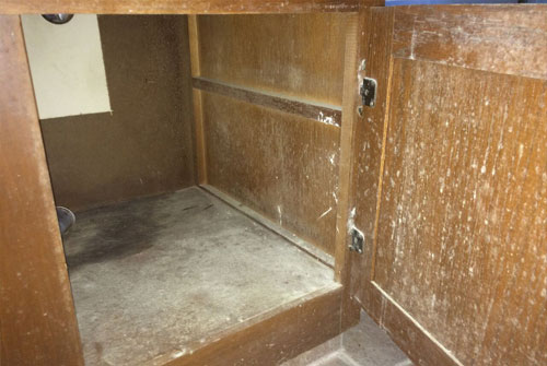 mold removal for mold in cabinet