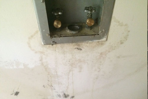 house with mold in need of mold testing