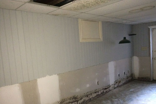 house with mold in need of remediation