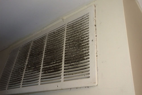 mold in vent with mold expert