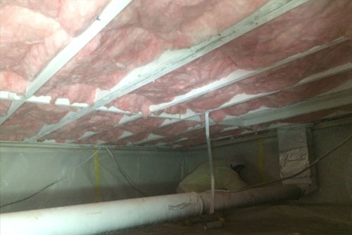 celing mold after professional mold treatment