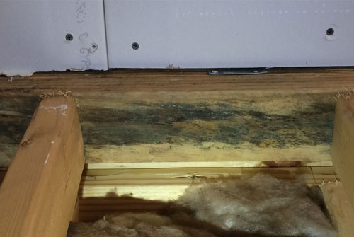 mold and mildew in the walls of a home needs to be removed